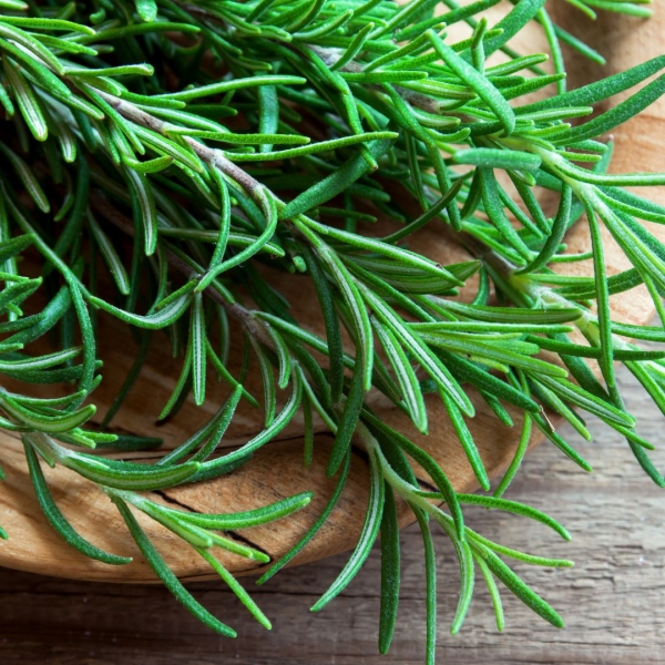 FSS Rosemary Extract PF